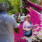 The Surge of International Tourism in China During the May Day Holiday: A New Era of Cultural Exploration and Economic Opportunities